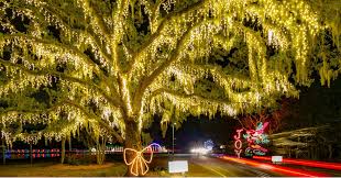 Coffee bar and service area